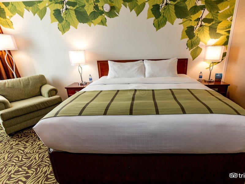 Varscona Hotel On Whyte Edmonton Eksteriør billede
