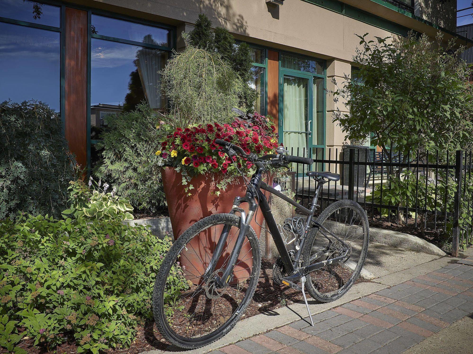 Varscona Hotel On Whyte Edmonton Eksteriør billede
